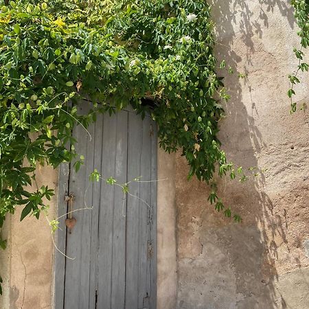 Le Chai Des Tuileries Montagnac (Herault) Exterior foto