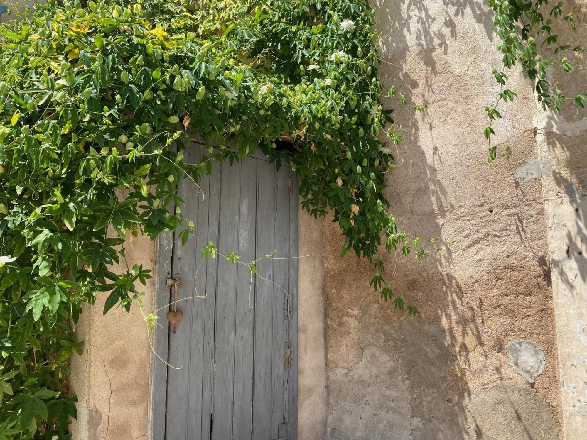 Le Chai Des Tuileries Montagnac (Herault) Exterior foto